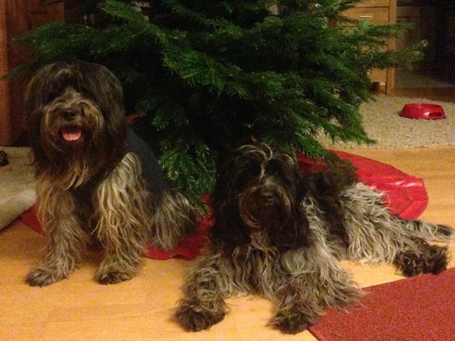 Milly Weihnachten