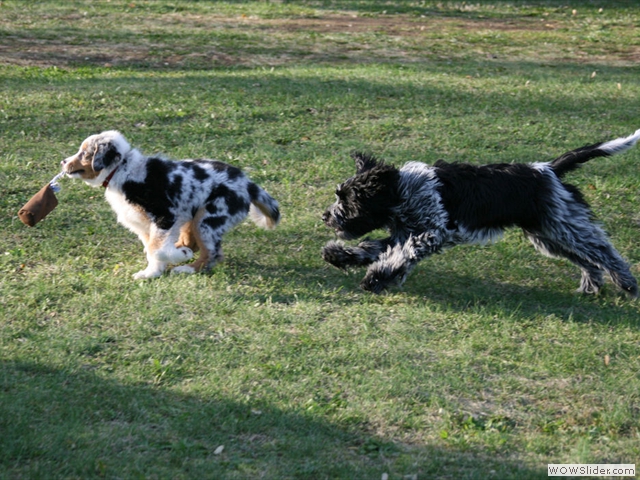 Djuna beim Spielen