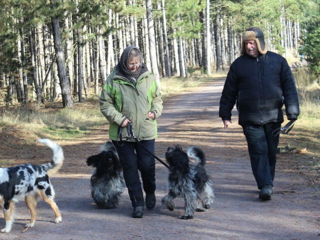 Spaziergang Djuna und Baafje