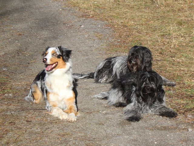 Spaziergang Djuna und Baafje